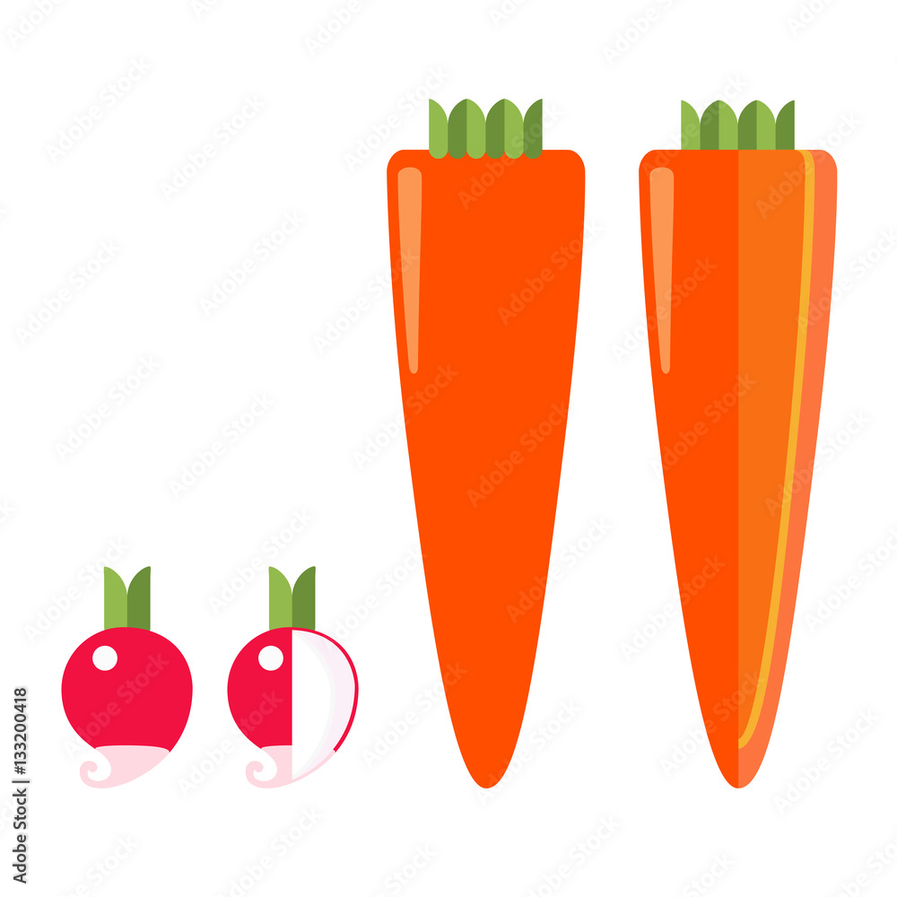 Root vegetables: radish and carrot, Root vegetables: radish and carrot, a general view and in section, on a white background Root vegetables: radish and carrot, Root vegetables: radish and carrot, a general view and in section, on a white background
