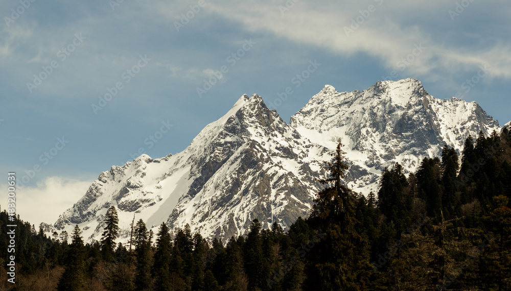 Cloudy sky over snowy peaks. Dark forest in the foreground.