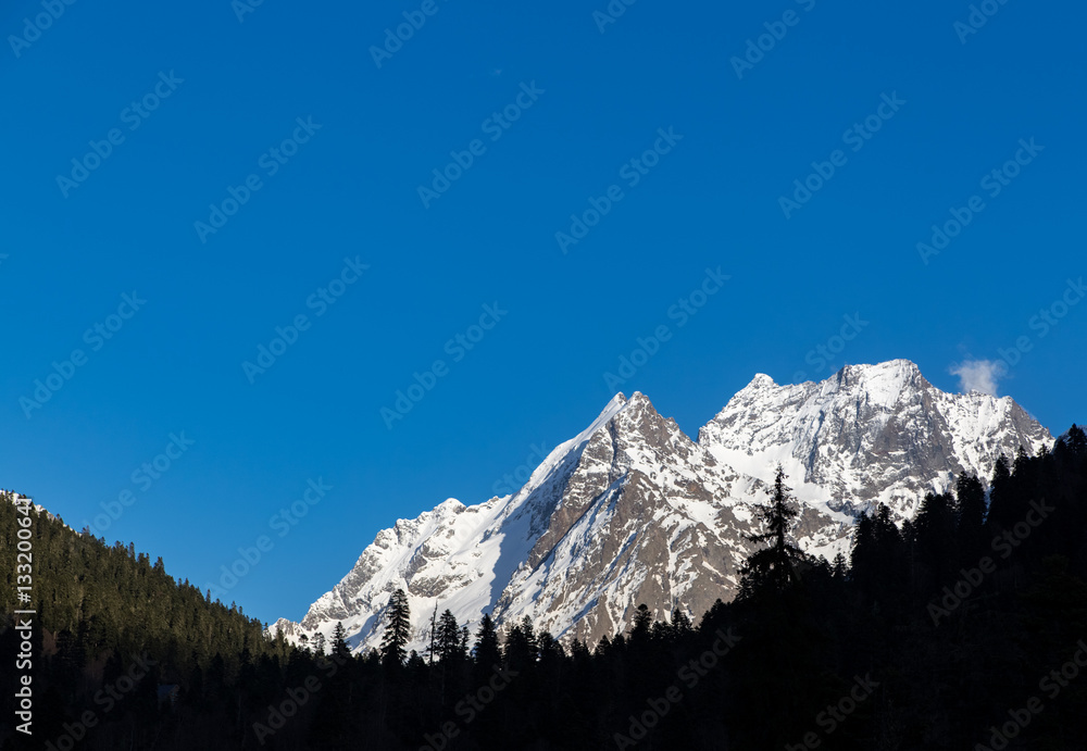 Snowy peaks against the blue sky. Dark forest in the foreground.