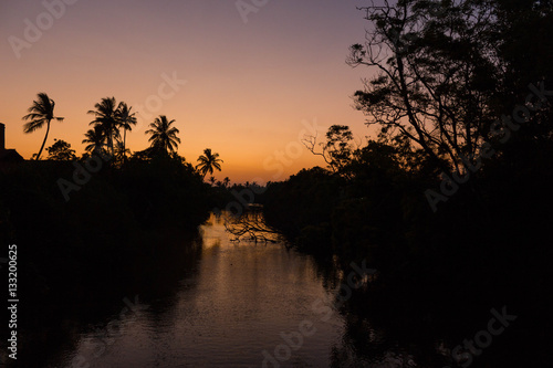 sunset on the river silhouette of trees and palm with reflection