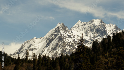 Cloudy sky over snowy peaks. Dark forest in the foreground.