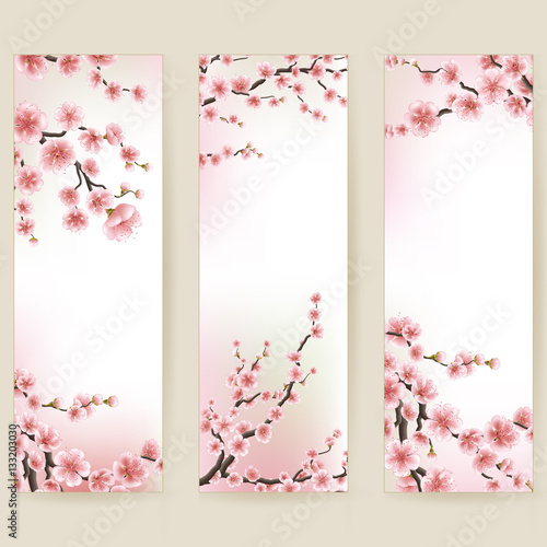 Cherry blossom realistic banner. EPS 10