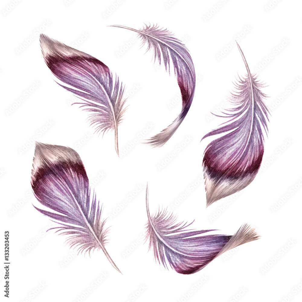 watercolor illustration, pink feather clip art, Easter design elements set, isolated on white background watercolor illustration, pink feather clip art, Easter design elements set, isolated on white background