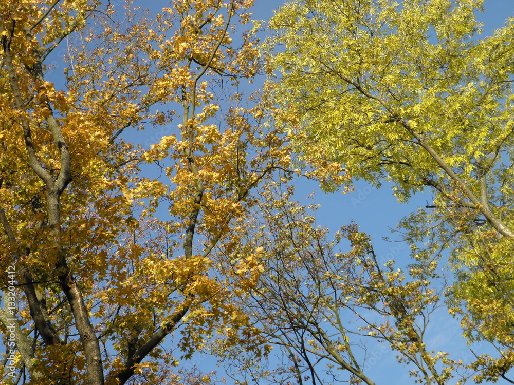Bright autumn in Czech Republic Bright autumn in Czech Republic