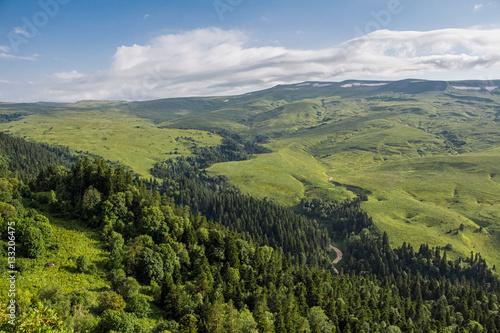 Scenic landscape with mountain forest