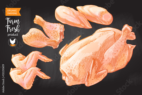 chicken meat vector