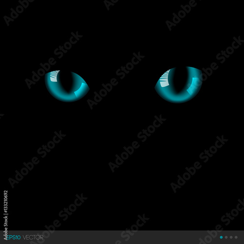 Black cat realistic blue eyes in darkness. Vector illustration.