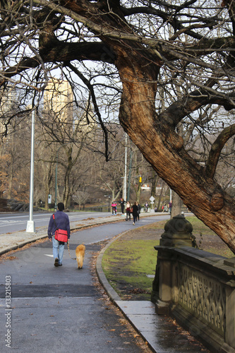 man walking dog in park
