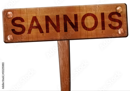 Fototapeta sannois road sign, 3D rendering