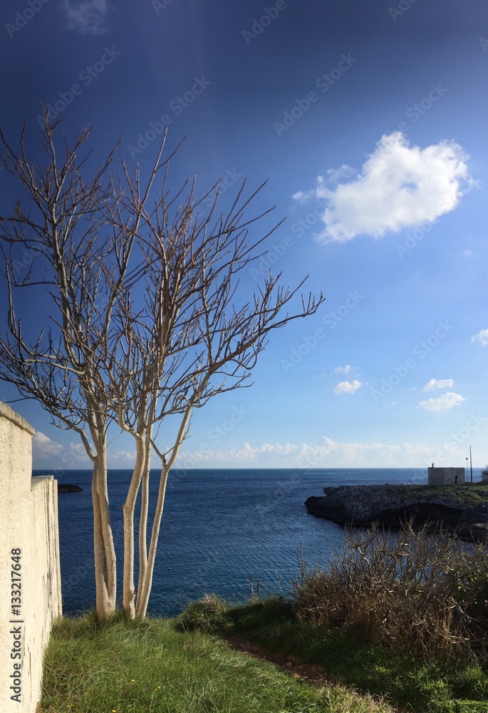 salento, porto badisco