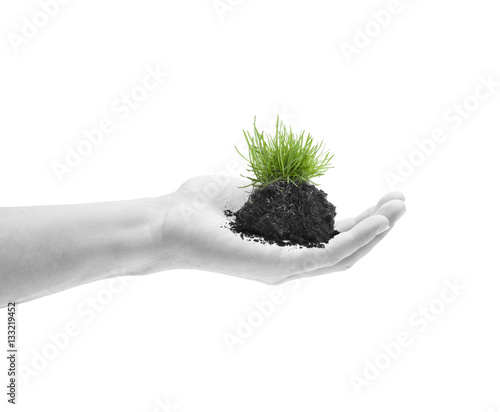 Grasbüschel in der Hand