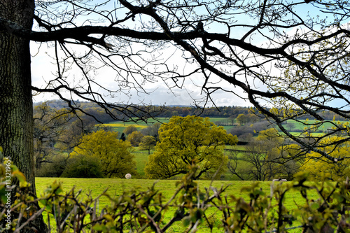 Obraz na płótnie The English Countryside In Kent