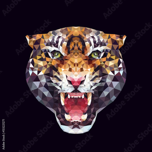 Fototapeta Naklejka Na Ścianę i Meble -  tiger. polygonal graphics. vector illustration