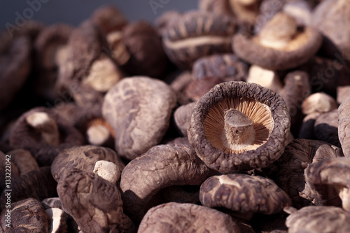 Dried mushrooms. Shiitake