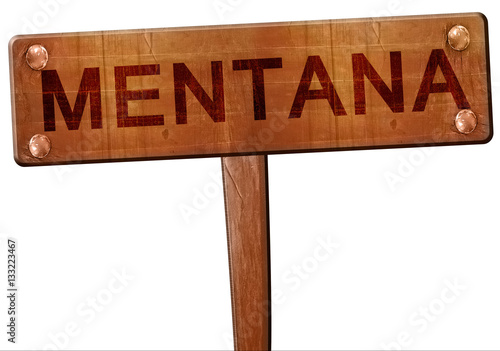 Photos Mentana road sign, 3D rendering