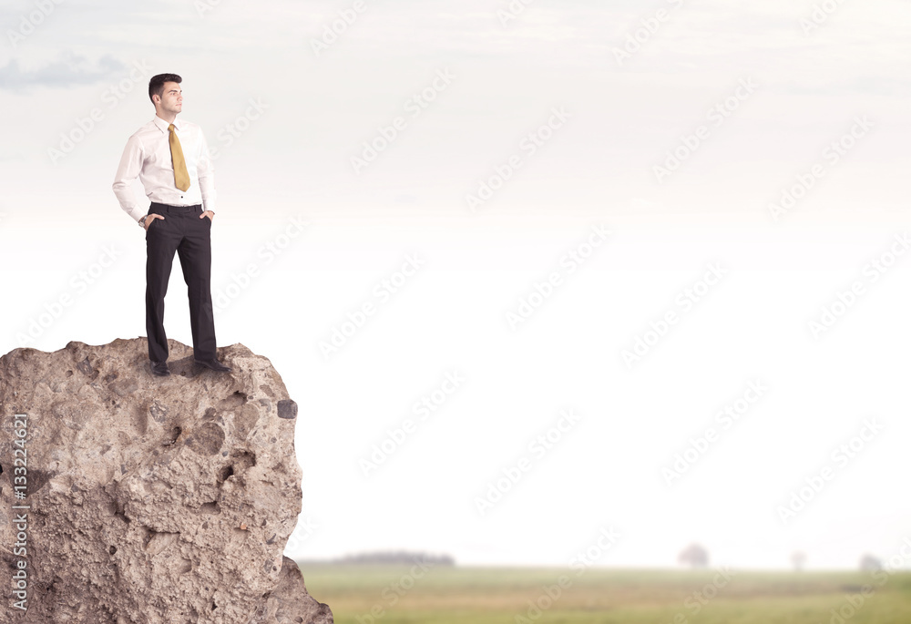 Happy salesman on cliff in the country Happy salesman on cliff in the country