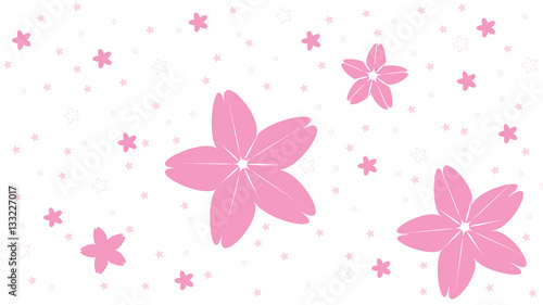 Sakura Background - Cherry blossom japan - illustration - vector