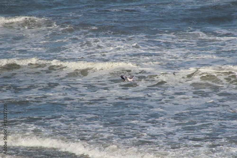 Obraz premium Outerbanks