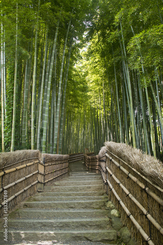 Bamboo path in Arashiyama  Kyoto  Japan