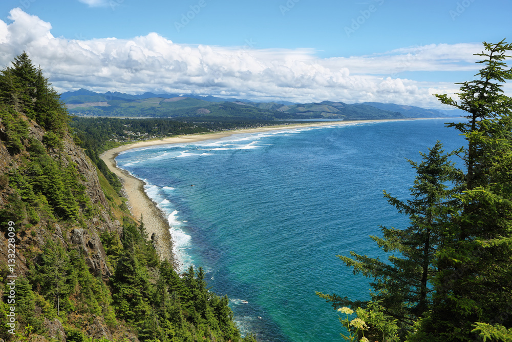 View of wild beach in Oregon