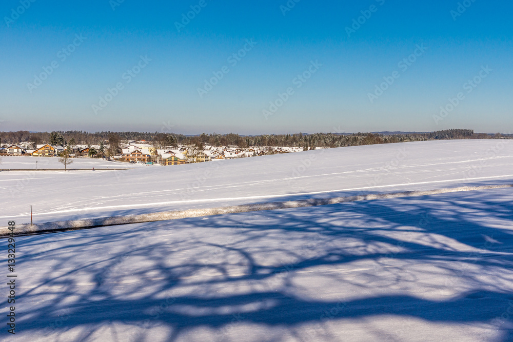 Lange Schatten von Bäumen liegen über den verschneiten Feldern