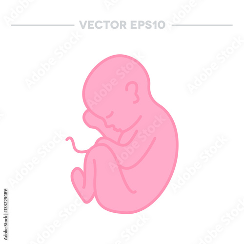 fetus icon. vector illustration