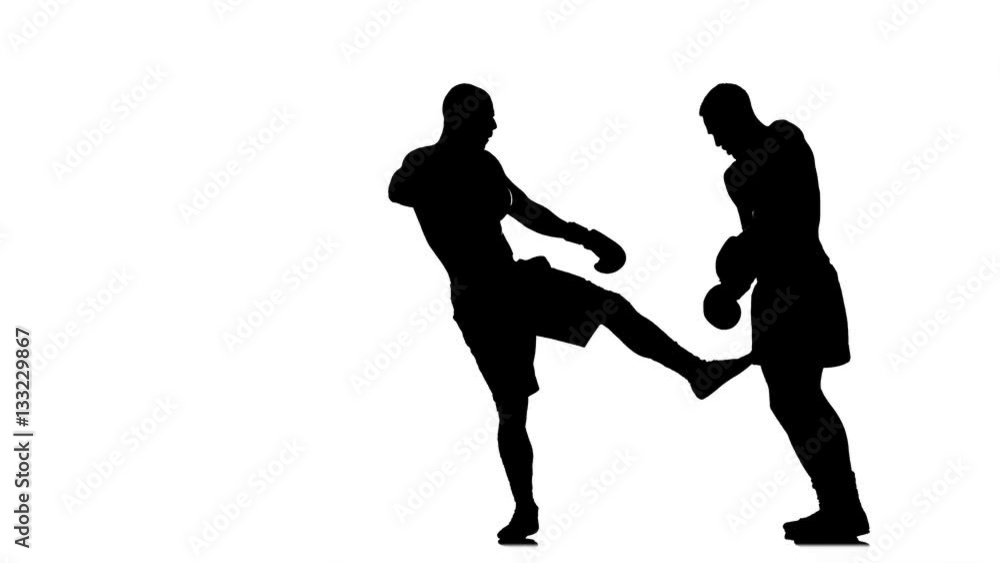 Blows to the legs kicking. Silhouette of sportsmen training Blows to the legs kicking. Silhouette of sportsmen training