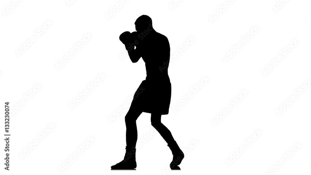 Silhouette of boxer fights with shadow. White background Silhouette of boxer fights with shadow. White background