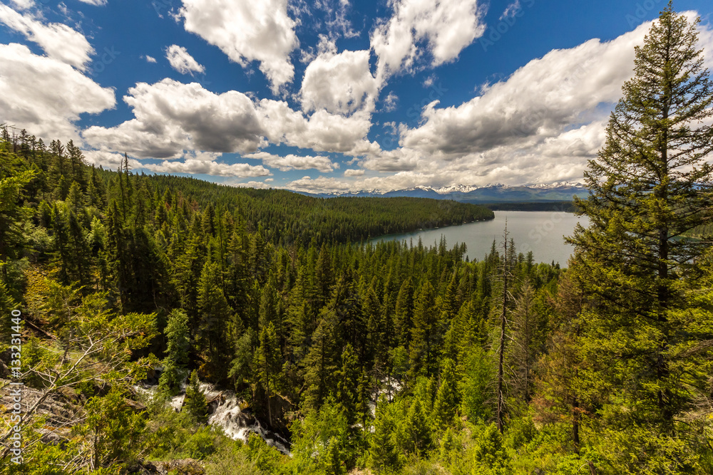 Large forest with mountain lake