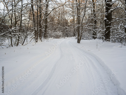 road in the winter forest 