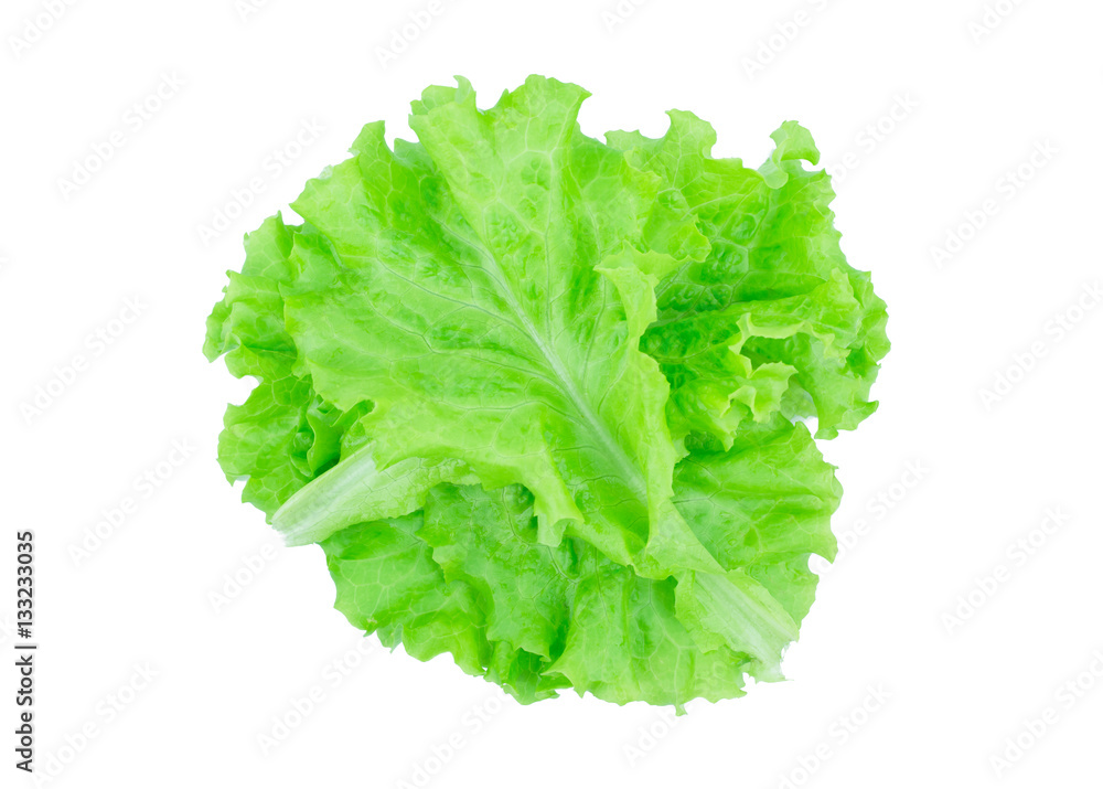 Salad leaf. Lettuce isolated on white background. Salad leaf. Lettuce isolated on white background.