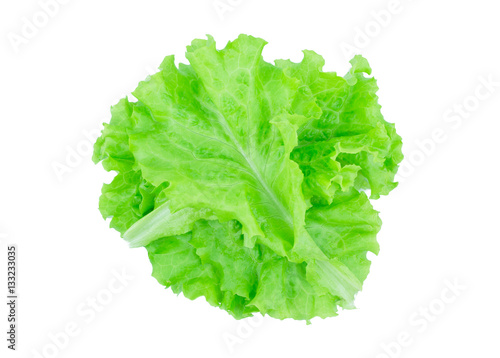 Salad leaf. Lettuce isolated on white background.