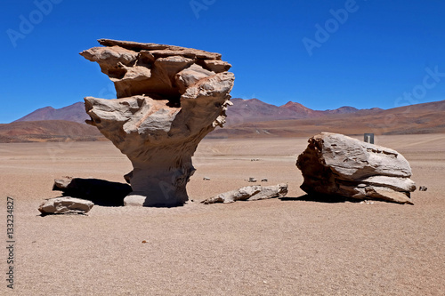Rock tree in Atacama desert, Bolivia