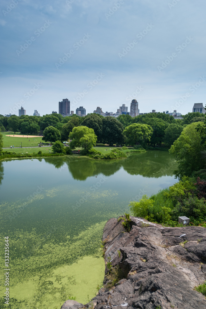 Manhattan towers emerging behind Central Park Manhattan towers emerging behind Central Park