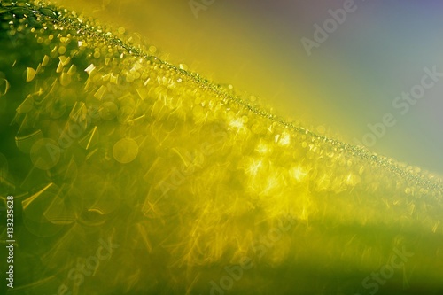 the drops on leaf in closeup