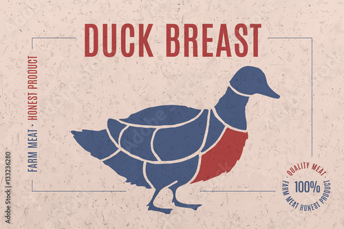 Label for duck meat with text Duck Breast. Creative graphic design for butcher shop, farmer market. Advertising poster for meat related theme. Vector Illustration