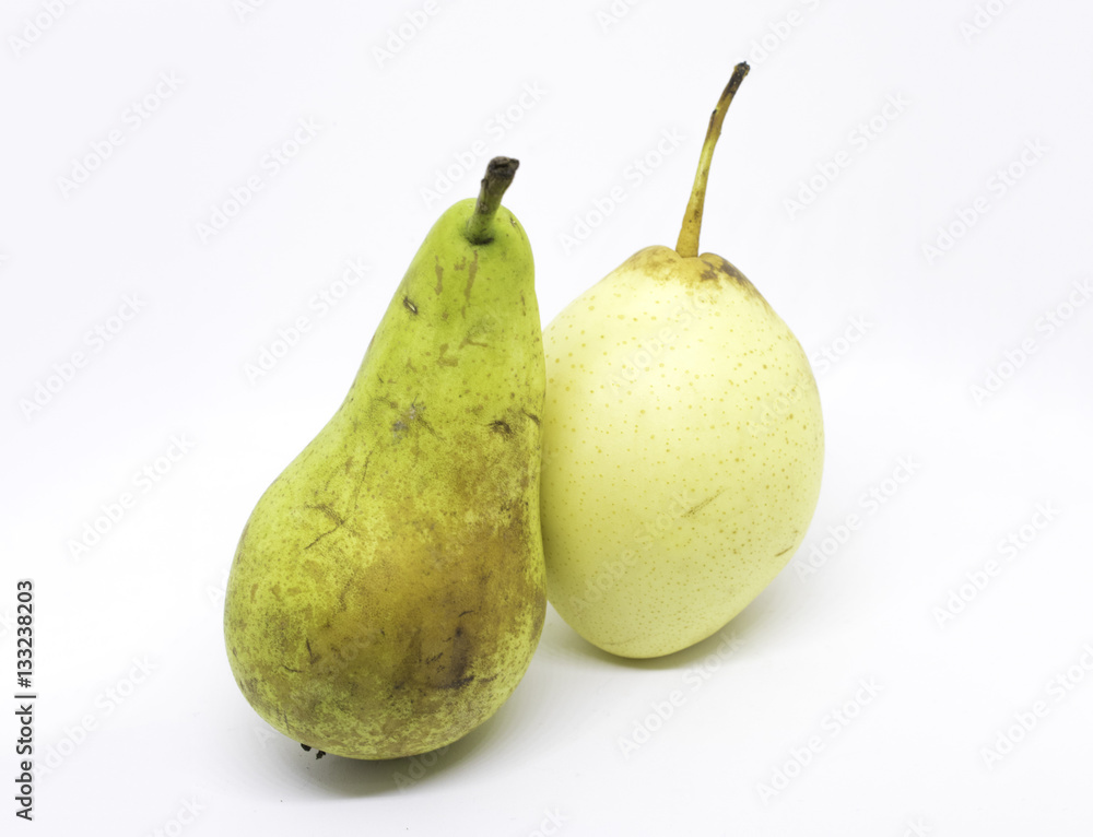 A Pair of Pears - Asian Pear and Conference Pear A Pair of Pears - Asian Pear and Conference Pear
