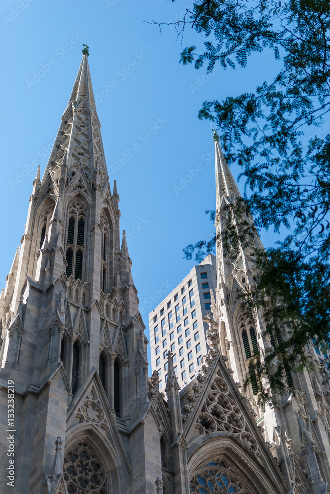 St. Patrick's Cathedral towers, NYC
