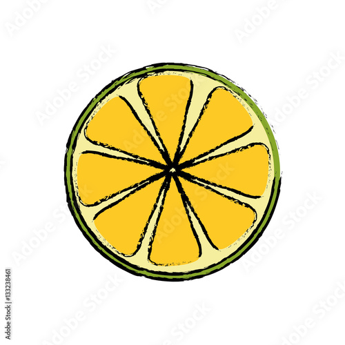 Lemon citric fruit icon vector illustration graphic design © djvstock