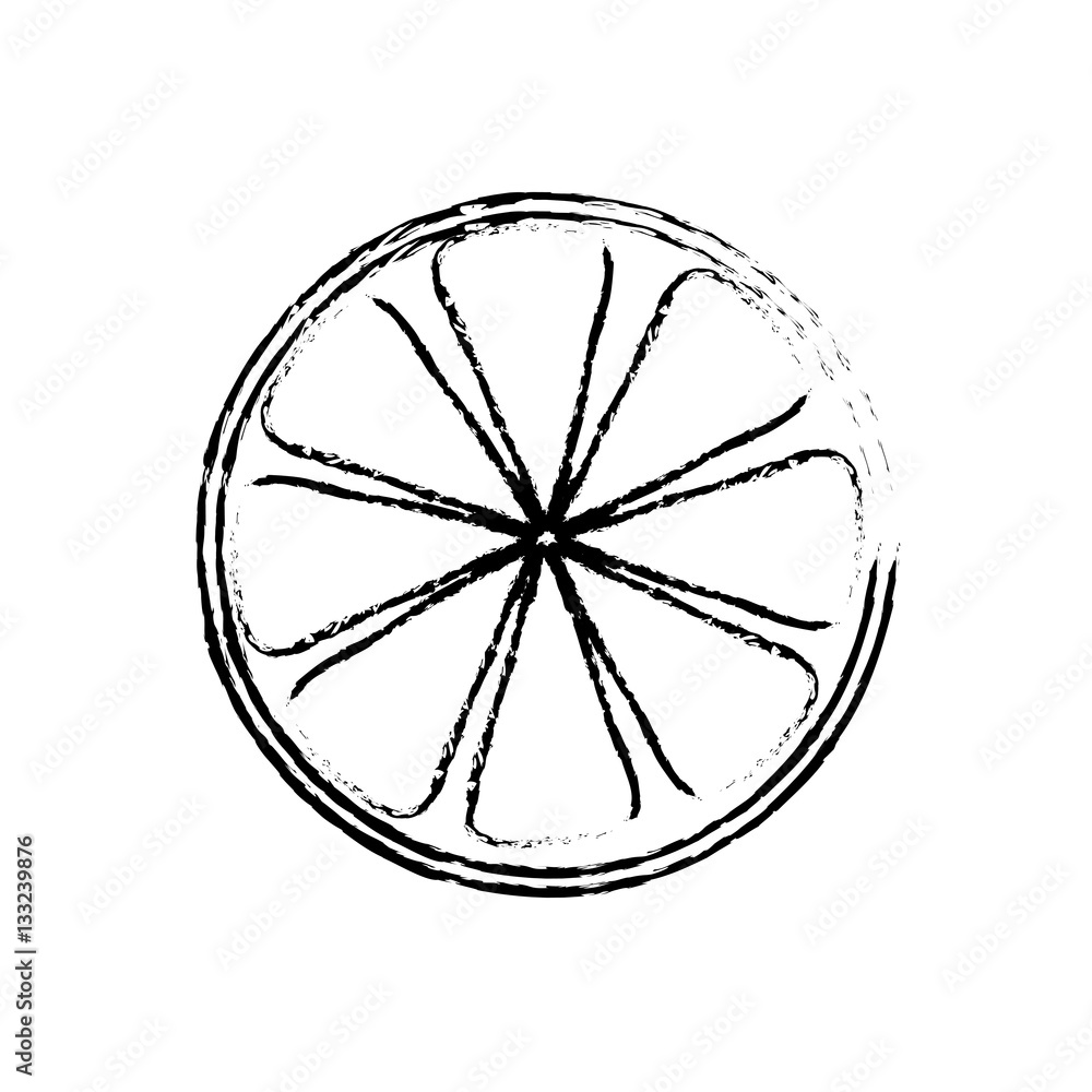 Lemon citric fruit icon vector illustration graphic design Lemon citric fruit icon vector illustration graphic design