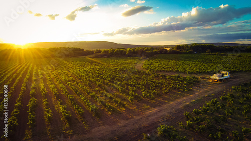 Aerial View Of A Vineyard © nullplus