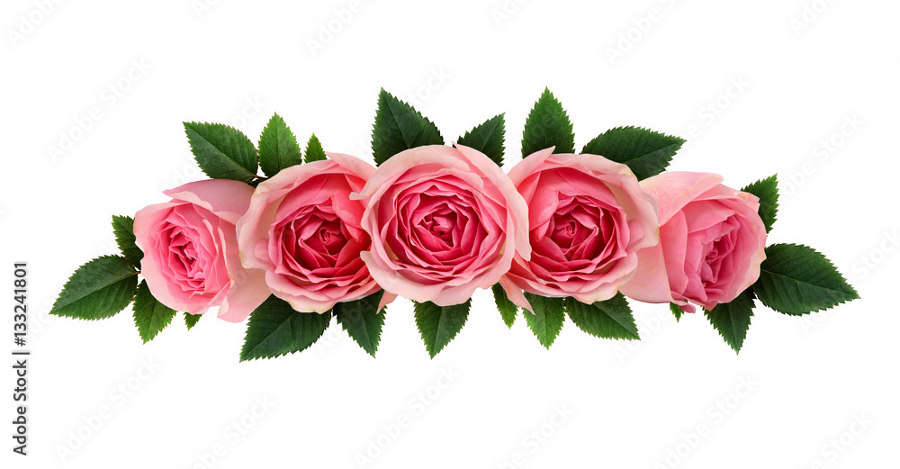Naklejka premium Pink rose flowers arrangement