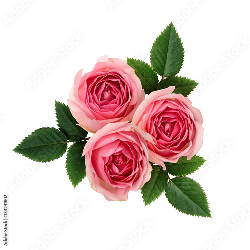 Pink rose flowers arrangement