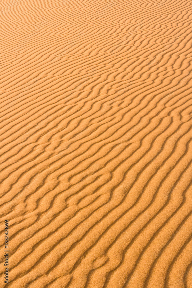 Desert at Hassi Labiad near Merzouga, Morocco Desert at Hassi Labiad near Merzouga, Morocco