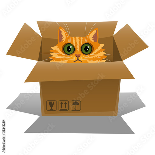 Cat in a cardboard box. Kitten is looking out of a box. Vector