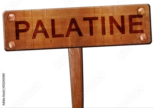 palatine road sign, 3D rendering