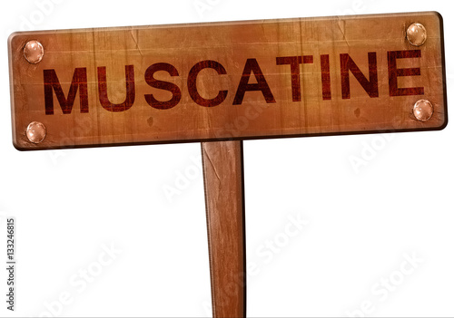 muscatine road sign, 3D rendering photo