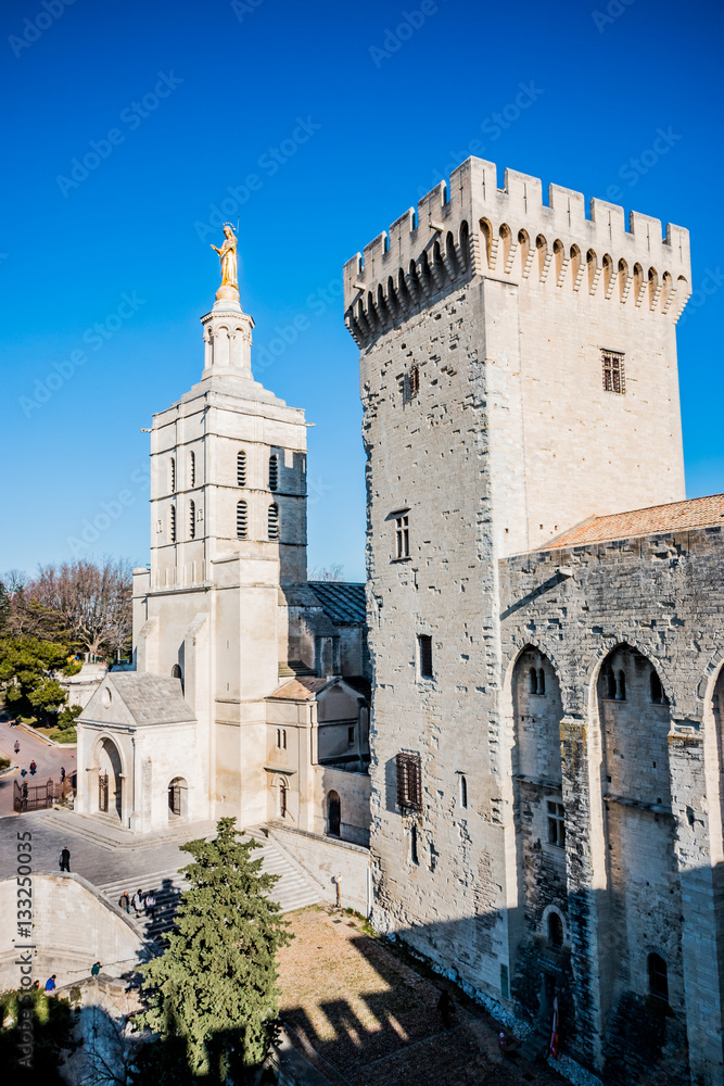 Notre-Dame -des-Doms et Cité des papes à Avignon