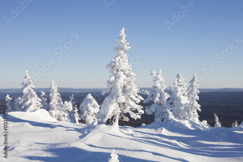 Winter landscape. Mountain range Zyuratkul. Snow covered fir tre