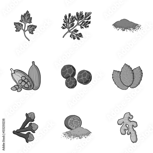Herb and spices set icons in monochrome style. Big collection of herb and spices vector symbol stock illustration